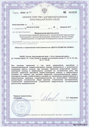 Лицензия